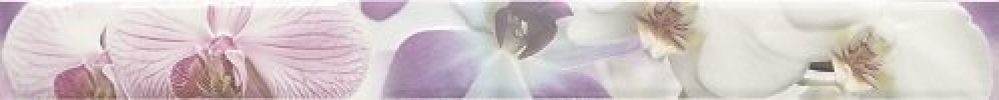 Плитка бордюр 75x8 Listelo Orquidea Lila 2рой сорт Paris глянцевая Mallol Плитка бордюр 75x8 Listelo Orquidea Lila 2рой сорт Paris глянцевая Mallol