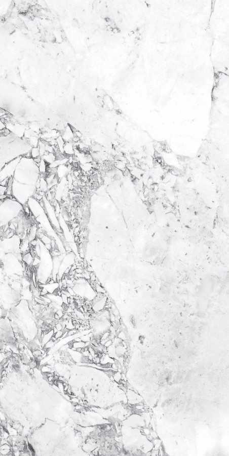 Керамогранит 120x60 Forest white semi polished глянцевая, полированная белый Goldis Tile Керамогранит 120x60 Forest white semi polished глянцевая, полированная белый Goldis Tile