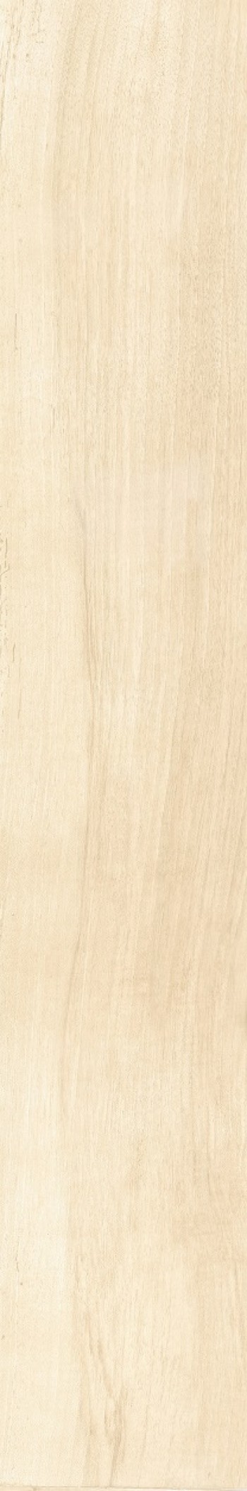 Керамогранит 120x20 Antique ivory fondi nat.rettificat матовая светло-бежевый Cerdomus Керамогранит 120x20 Antique ivory fondi nat.rettificat матовая светло-бежевый Cerdomus