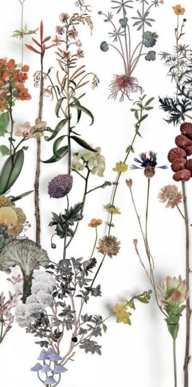 Керамогранит Paper41 Lux Franz (3 варианта паттерна) 60x120 41zero42 Керамогранит Paper41 Lux Franz (3 варианта паттерна) 60x120 41zero42