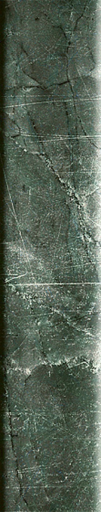 Плитка настенная 41Zero42 25x5 Dandy MR Green 4101210 25x5 Плитка настенная 41Zero42 25x5 Dandy MR Green 4101210 25x5