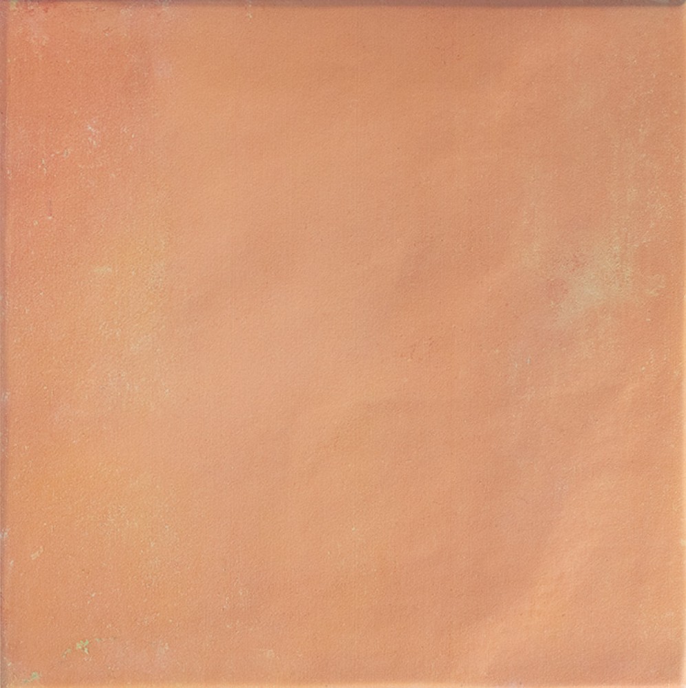 Керамогранит 18x18 9мм DNA Bow Square Cotto матовая DNA Tiles Керамогранит 18x18 9мм DNA Bow Square Cotto матовая DNA Tiles