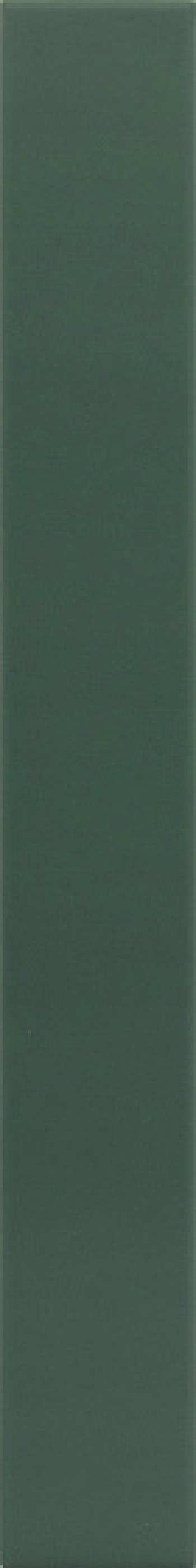 Плитка настенная Equipe 40x5 Hopp Laurel Green 31248 40x5 Плитка настенная Equipe 40x5 Hopp Laurel Green 31248 40x5
