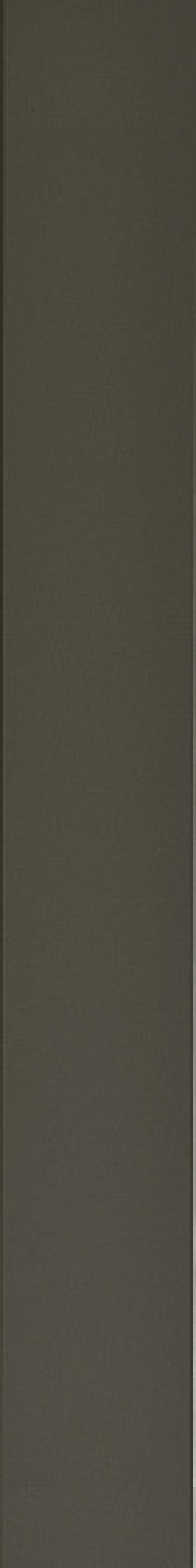 Плитка настенная Wow 40x5 Faces Liso Pine 131518 40x5 Плитка настенная Wow 40x5 Faces Liso Pine 131518 40x5