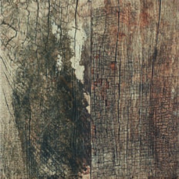 Керамогранит 30x30 напольная Distressed Bohemian гладкая матовая коричневый New Tiles Керамогранит 30x30 напольная Distressed Bohemian гладкая матовая коричневый New Tiles