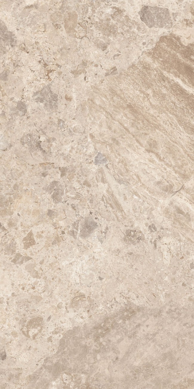 Керамогранит Abk 120x60 Era Bloom. Taupe Lap лаппатированная 8.5мм Керамогранит Abk 120x60 Era Bloom. Taupe Lap лаппатированная 8.5мм