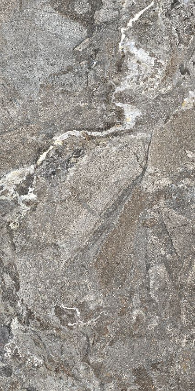 Плитка 120x60 Onyx&more Silver Porphy R 765968 шершавая темно-серый камень 6мм Casa Dolce Casa Плитка 120x60 Onyx&more Silver Porphy R 765968 шершавая темно-серый камень 6мм Casa Dolce Casa