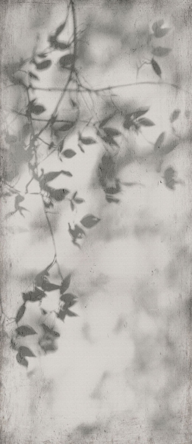 Керамогранит Flaviker 280x120 Art Walls Shadow Nat R матовая 6мм Керамогранит Flaviker 280x120 Art Walls Shadow Nat R матовая 6мм