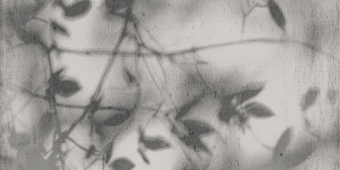 Плитка Flaviker 120x60 Art Walls Shadow Nat матовая 6мм Плитка Flaviker 120x60 Art Walls Shadow Nat матовая 6мм