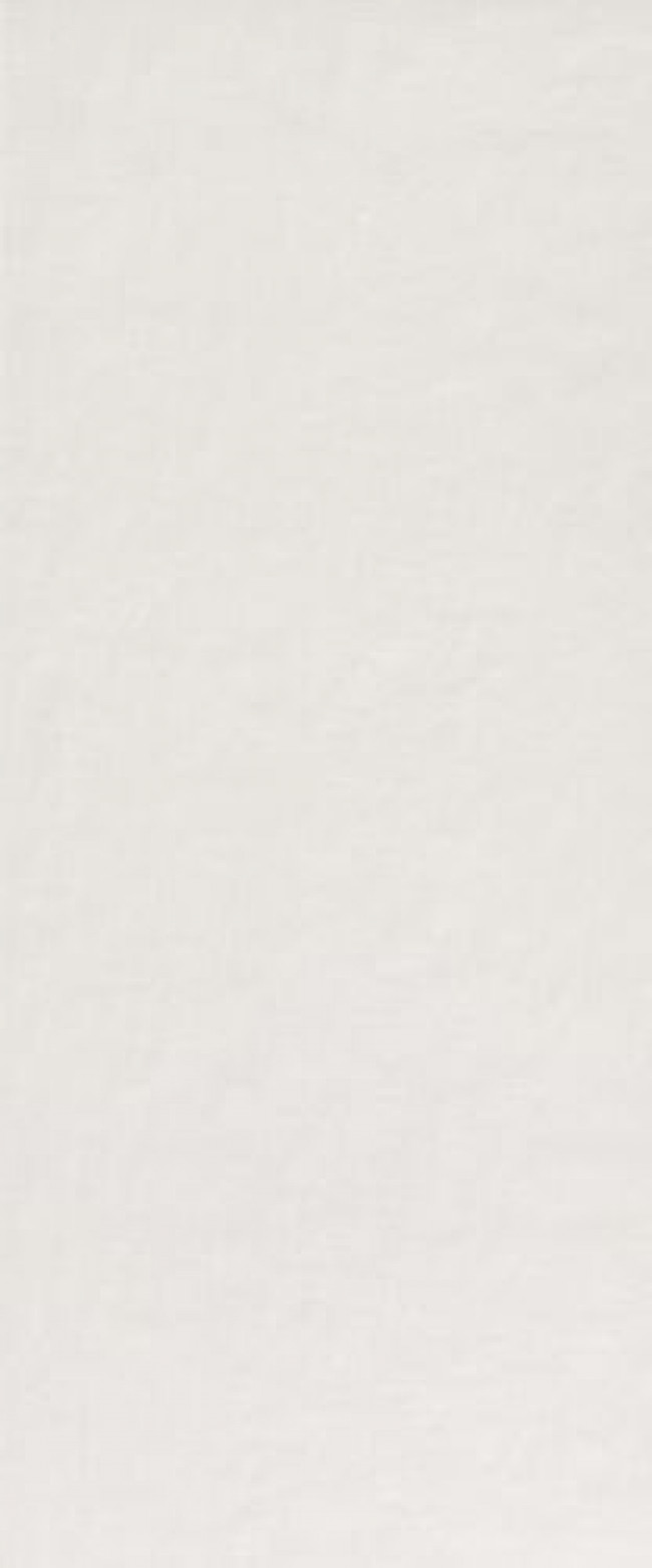 Плитка 120x50 Milano Mood Ghiaccio Matt Fqaw матовая белый бетон, цемент, краска, штукатурка Fap Ceramiche Плитка 120x50 Milano Mood Ghiaccio Matt Fqaw матовая белый бетон, цемент, краска, штукатурка Fap Ceramiche