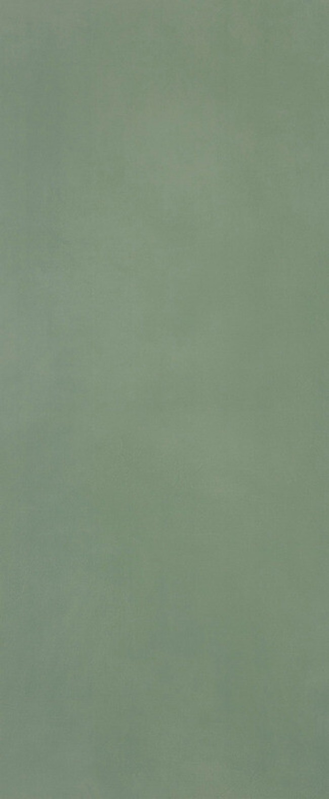 Плитка 120x50 Materia Brillante Bosco Brillante Ftoj зеленый краска, штукатурка, однотонная Fap Ceramiche Плитка 120x50 Materia Brillante Bosco Brillante Ftoj зеленый краска, штукатурка, однотонная Fap Ceramiche