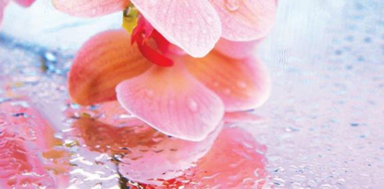 Плитка 50x25 Хлоя декор стеклянный Chloe многоцветный В глянцевая розовый Belleza Плитка 50x25 Хлоя декор стеклянный Chloe многоцветный В глянцевая розовый Belleza