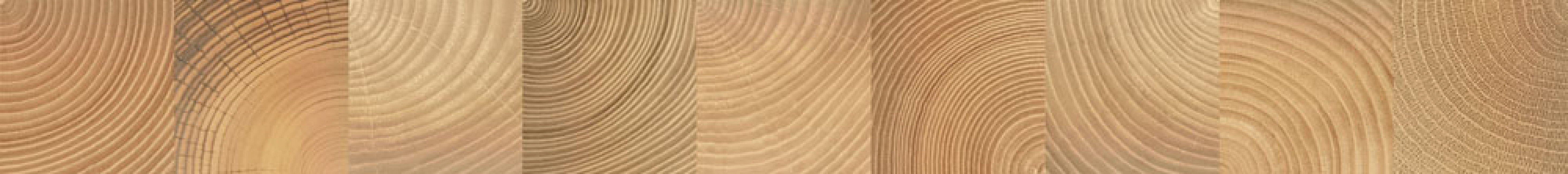 Плитка 75x8 Шиен бордюр 6Д темно-бежевый матовая Керамин Плитка 75x8 Шиен бордюр 6Д темно-бежевый матовая Керамин