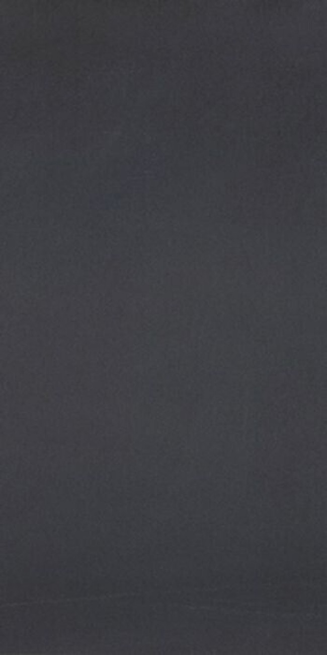 Плитка Casalgrande Padana 120x60 R-Evolution Black 11720031 9мм Плитка Casalgrande Padana 120x60 R-Evolution Black 11720031 9мм