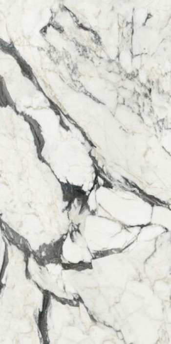 Керамогранит 120x60 9мм Bijoux Calacatta Altissimo Blanc Glossy Ret 766330 глянцевая белый мрамор Rex Ceramiche Керамогранит 120x60 9мм Bijoux Calacatta Altissimo Blanc Glossy Ret 766330 глянцевая белый мрамор Rex Ceramiche