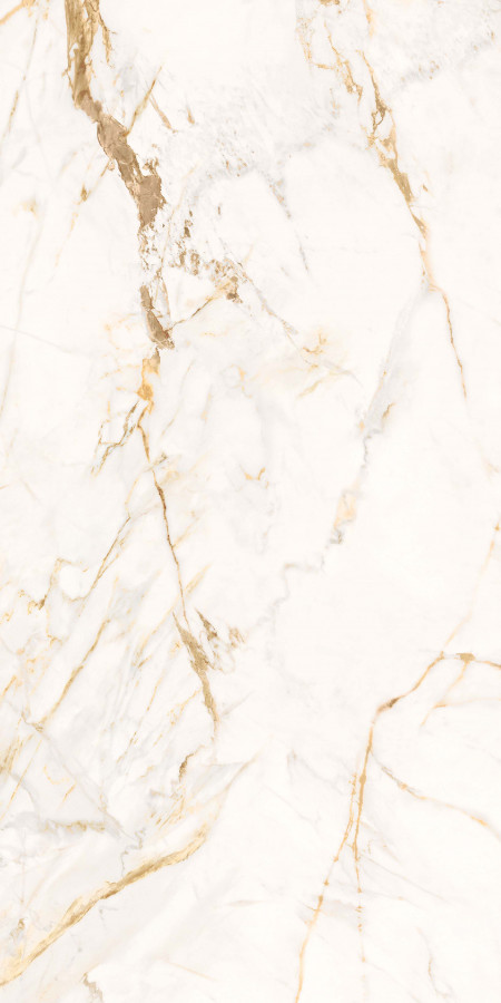 Керамогранит 119x60 0500872 Tws Calacatta Oro Lx Rt The Wild Spirit полированная дерево, мрамор, камень 9мм Roberto Cavalli Керамогранит 119x60 0500872 Tws Calacatta Oro Lx Rt The Wild Spirit полированная дерево, мрамор, камень 9мм Roberto Cavalli