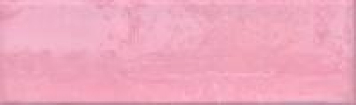 Плитка 79x20 Viva Rosa 12-01-4-26-10-41-2534 Bonaparte Плитка 79x20 Viva Rosa 12-01-4-26-10-41-2534 Bonaparte