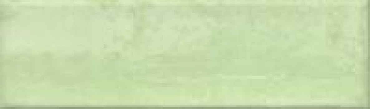 Плитка 79x20 Viva Menta Bonaparte Плитка 79x20 Viva Menta Bonaparte