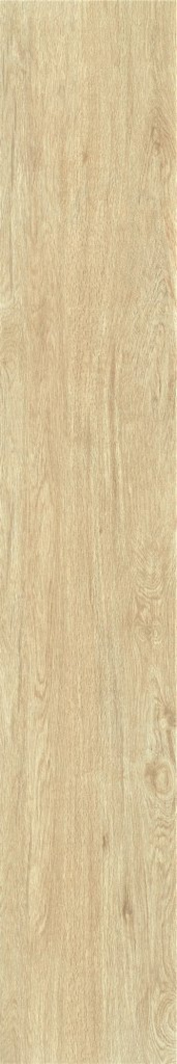 Плитка 120x20 ZC1223096 rect. матовая Тон 1L23-04 Bonaparte Плитка 120x20 ZC1223096 rect. матовая Тон 1L23-04 Bonaparte