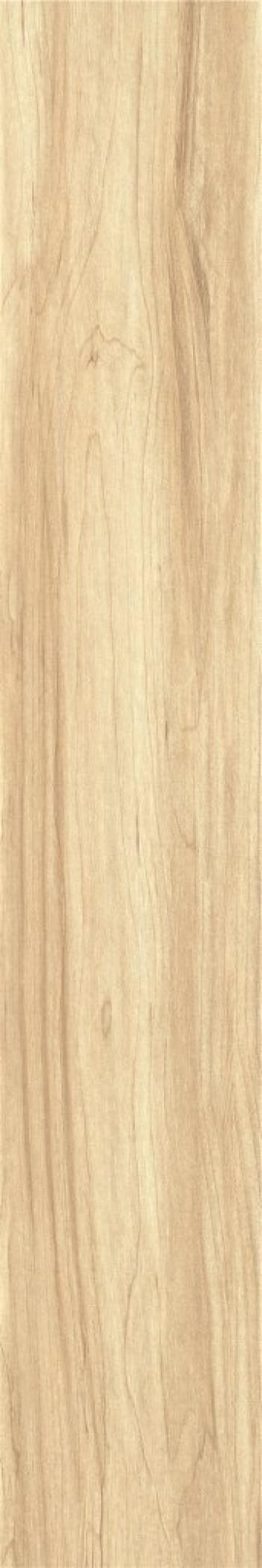 Плитка 120x20 ZC1223081 rect. матовая неизвестная характеристика Bonaparte Плитка 120x20 ZC1223081 rect. матовая неизвестная характеристика Bonaparte