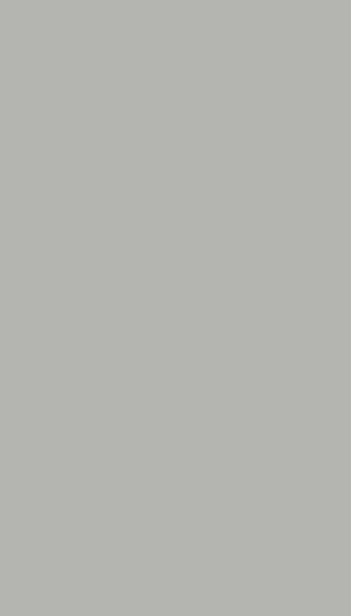 Стеновая панель 280x108 Paint Light Grey connect FB-H022D Bonaparte Стеновая панель 280x108 Paint Light Grey connect FB-H022D Bonaparte