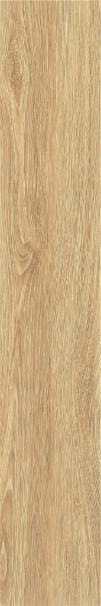 Плитка 120x20 ZC1223098 rect. матовая Тон 3I16-18 Bonaparte Плитка 120x20 ZC1223098 rect. матовая Тон 3I16-18 Bonaparte