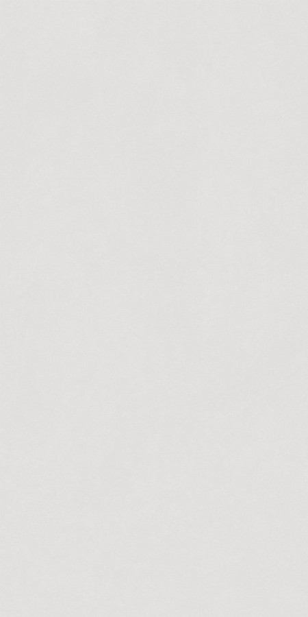 Плитка 120x60 Artwork Light grey soft матовая KT-TDL612322 W140 Bonaparte Плитка 120x60 Artwork Light grey soft матовая KT-TDL612322 W140 Bonaparte