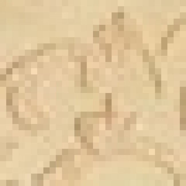 Керамогранит Venis 7x7 Vesta Bottone Leaf Lappato Rett Dorato глянцевый под мрамор бежевый 9мм 610090000645 Керамогранит Venis 7x7 Vesta Bottone Leaf Lappato Rett Dorato глянцевый под мрамор бежевый 9мм 610090000645