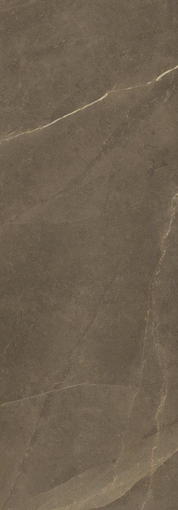 Плитка 120x40 Allmarble Wall Pulpis Lux глянцевая коричневый 6мм Marazzi Плитка 120x40 Allmarble Wall Pulpis Lux глянцевая коричневый 6мм Marazzi