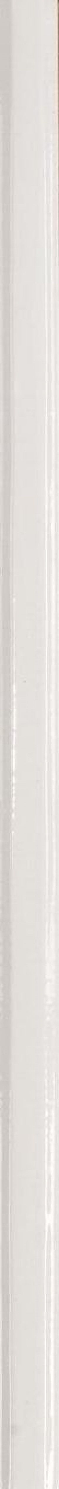 Бордюр 50x2 M6UT Matita глянцевая серый Marazzi Бордюр 50x2 M6UT Matita глянцевая серый Marazzi