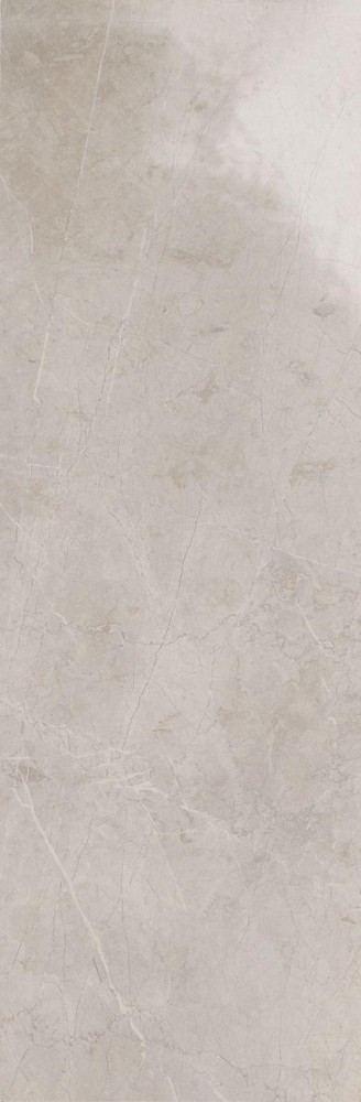 Плитка 97.7x32.5 Evolutionmarble Riv Tafu Rett. глянцевая серый 6мм Marazzi Плитка 97.7x32.5 Evolutionmarble Riv Tafu Rett. глянцевая серый 6мм Marazzi
