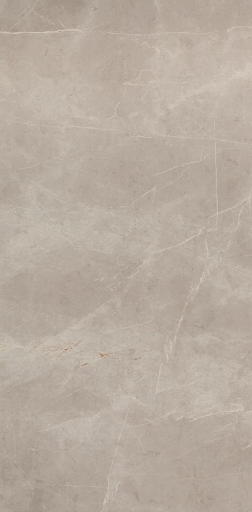 Керамогранит 120x60 Evolutionmarble Tafu Rett. матовая серый 10мм Marazzi Керамогранит 120x60 Evolutionmarble Tafu Rett. матовая серый 10мм Marazzi