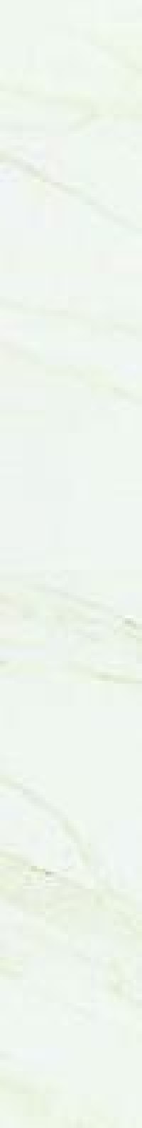 Керамогранит 120x15 Evolutionmarble Calacatta матовая белый 10мм Marazzi Керамогранит 120x15 Evolutionmarble Calacatta матовая белый 10мм Marazzi