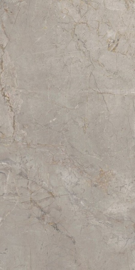 Плитка 120x60 9мм Elements Lux Silver Grey Nat 22A2 серый мрамор Keope Ceramiche Плитка 120x60 9мм Elements Lux Silver Grey Nat 22A2 серый мрамор Keope Ceramiche
