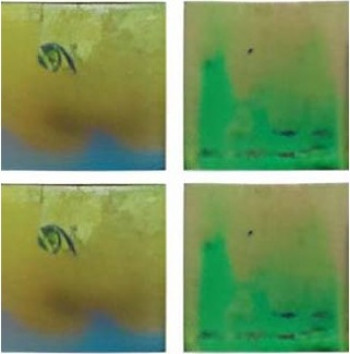 Мозаика 33x33 Gold Link зеленый Jnj Мозаика 33x33 Gold Link зеленый Jnj