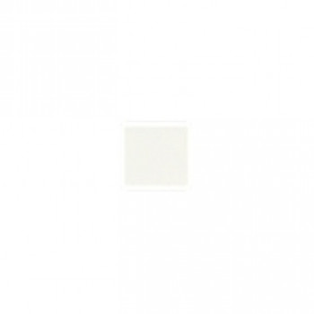 Керамическая вставка tozzetto liscia 20x20 Luc Latte матовая белый однотонный Ladiva Сeramiche Керамическая вставка tozzetto liscia 20x20 Luc Latte матовая белый однотонный Ladiva Сeramiche