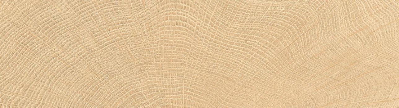 Керамогранит 120x10 Керамогранит Provenza W-Circles матовая коричневый дерево 9мм Provenza Керамогранит 120x10 Керамогранит Provenza W-Circles матовая коричневый дерево 9мм Provenza