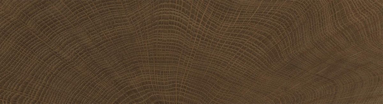 Керамогранит 120x20 Керамогранит Provenza W-Circles матовая коричневый дерево 9мм Provenza Керамогранит 120x20 Керамогранит Provenza W-Circles матовая коричневый дерево 9мм Provenza