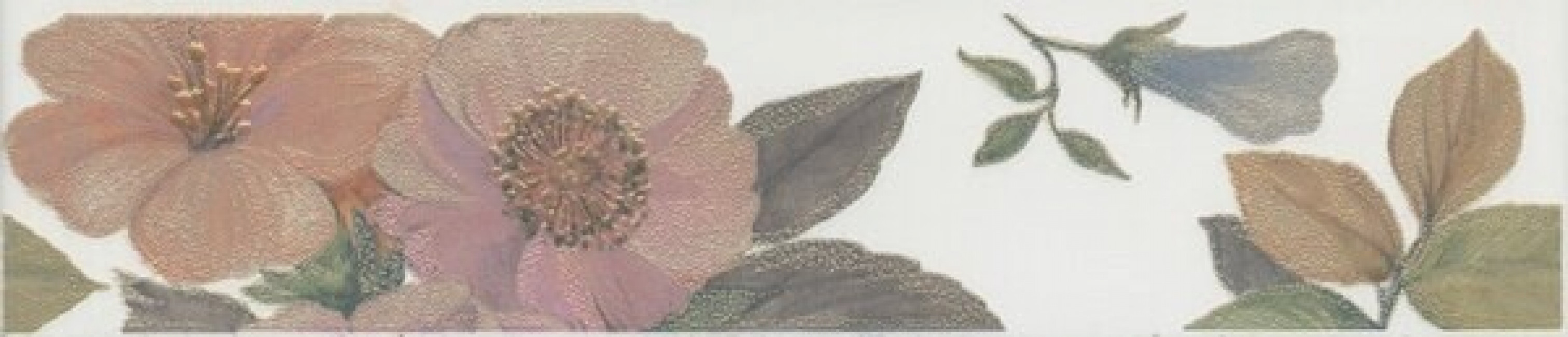 Плитка 25x5 8мм VTA1636397 Бордюр Ломбардиа матовая Kerama Marazzi Плитка 25x5 8мм VTA1636397 Бордюр Ломбардиа матовая Kerama Marazzi