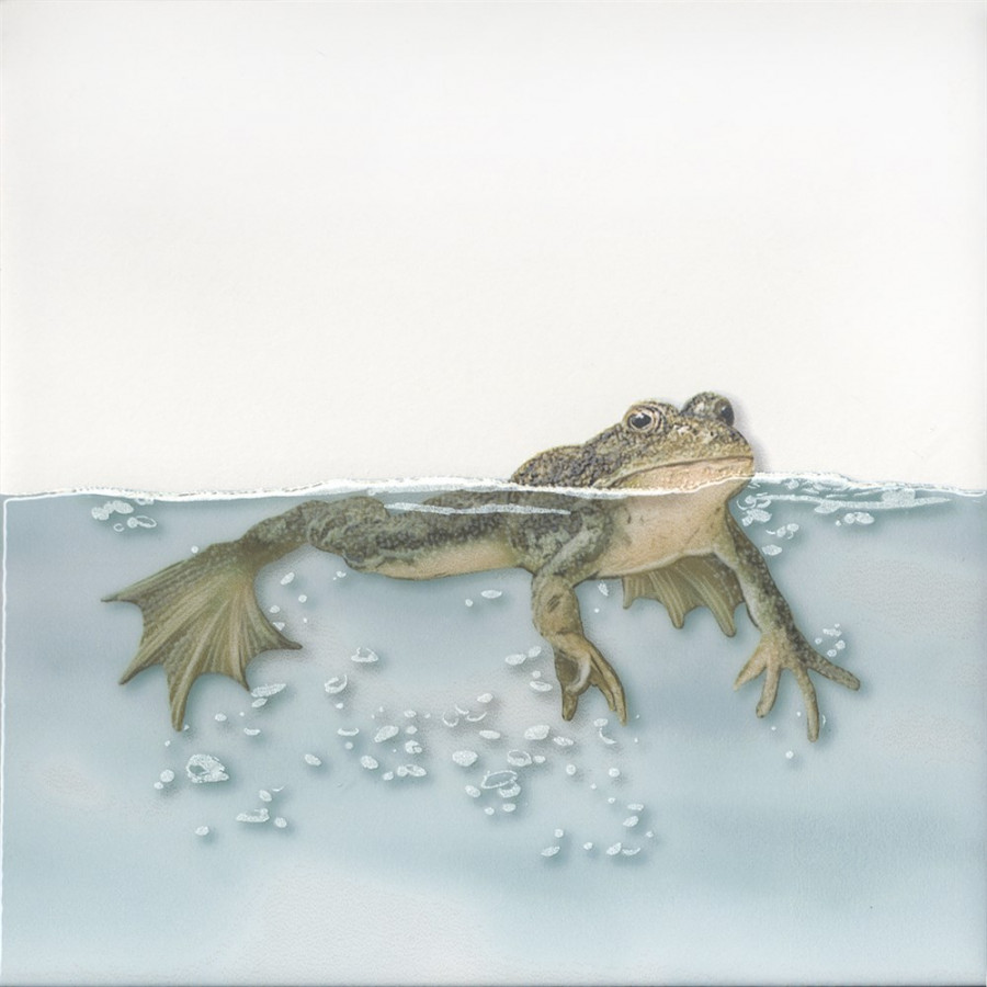 Плитка 20x20 6.9мм VTA4725009 Декор Чудо-озеро 5 комбинированная Kerama Marazzi Плитка 20x20 6.9мм VTA4725009 Декор Чудо-озеро 5 комбинированная Kerama Marazzi