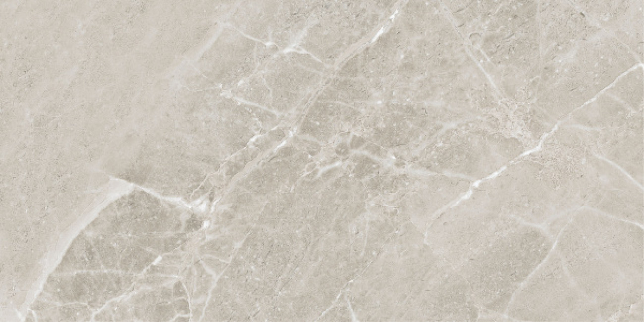 Керамогранит 120x60 8.1мм Colemanite Stone Grey Rect матовая Ape Керамогранит 120x60 8.1мм Colemanite Stone Grey Rect матовая Ape