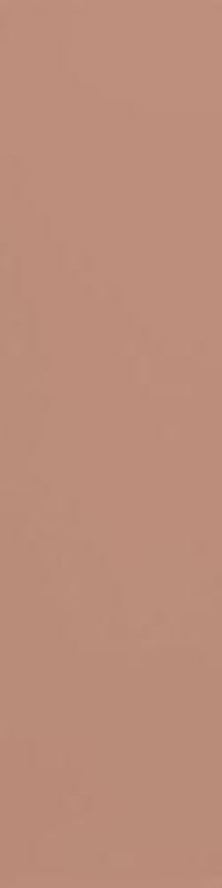 Плитка 20x5 Flat Terracota матовая коричневый 7мм Ape Плитка 20x5 Flat Terracota матовая коричневый 7мм Ape