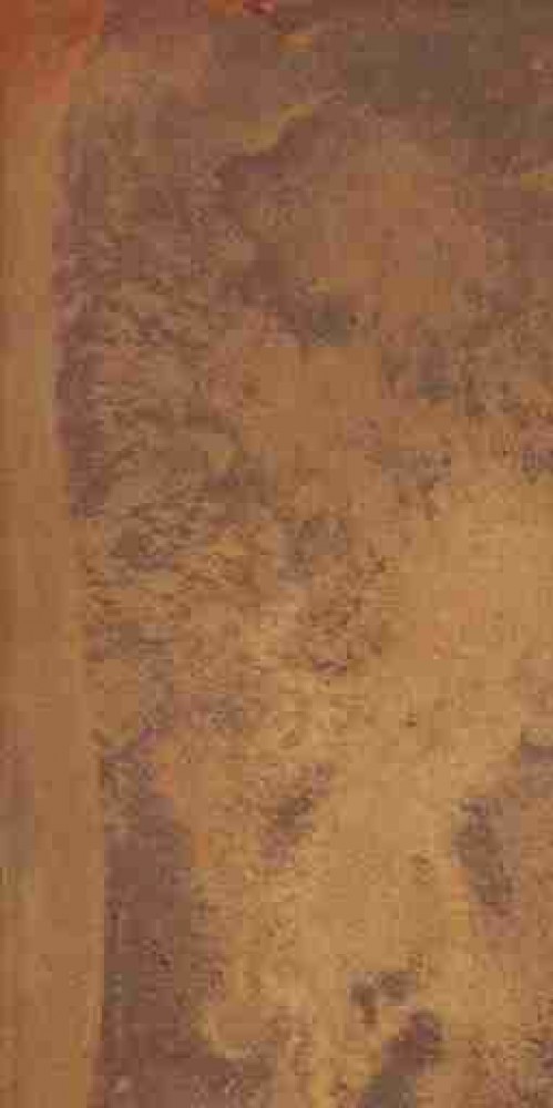 Керамогранит 120x60 Reef Ocher Honed Rect. матовая коричневый 9мм Ape Керамогранит 120x60 Reef Ocher Honed Rect. матовая коричневый 9мм Ape