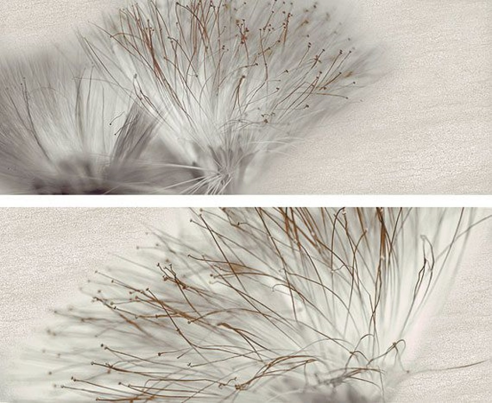 Декор 50x20 Set 2 Base Acero матовая серый 10мм Ape Декор 50x20 Set 2 Base Acero матовая серый 10мм Ape