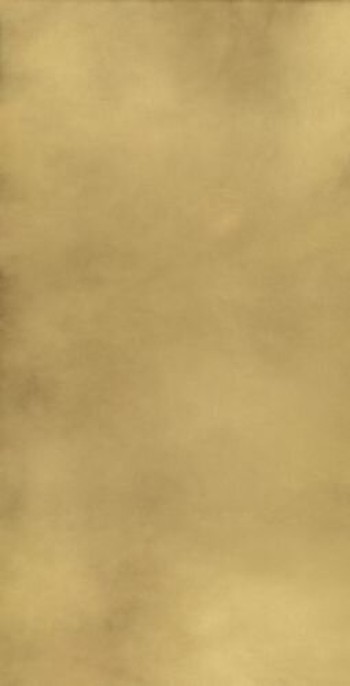 Плитка 160x80 9мм Continuum Brgold Lap 610015000645 лаппатированная золотой металл, камень Италон Плитка 160x80 9мм Continuum Brgold Lap 610015000645 лаппатированная золотой металл, камень Италон