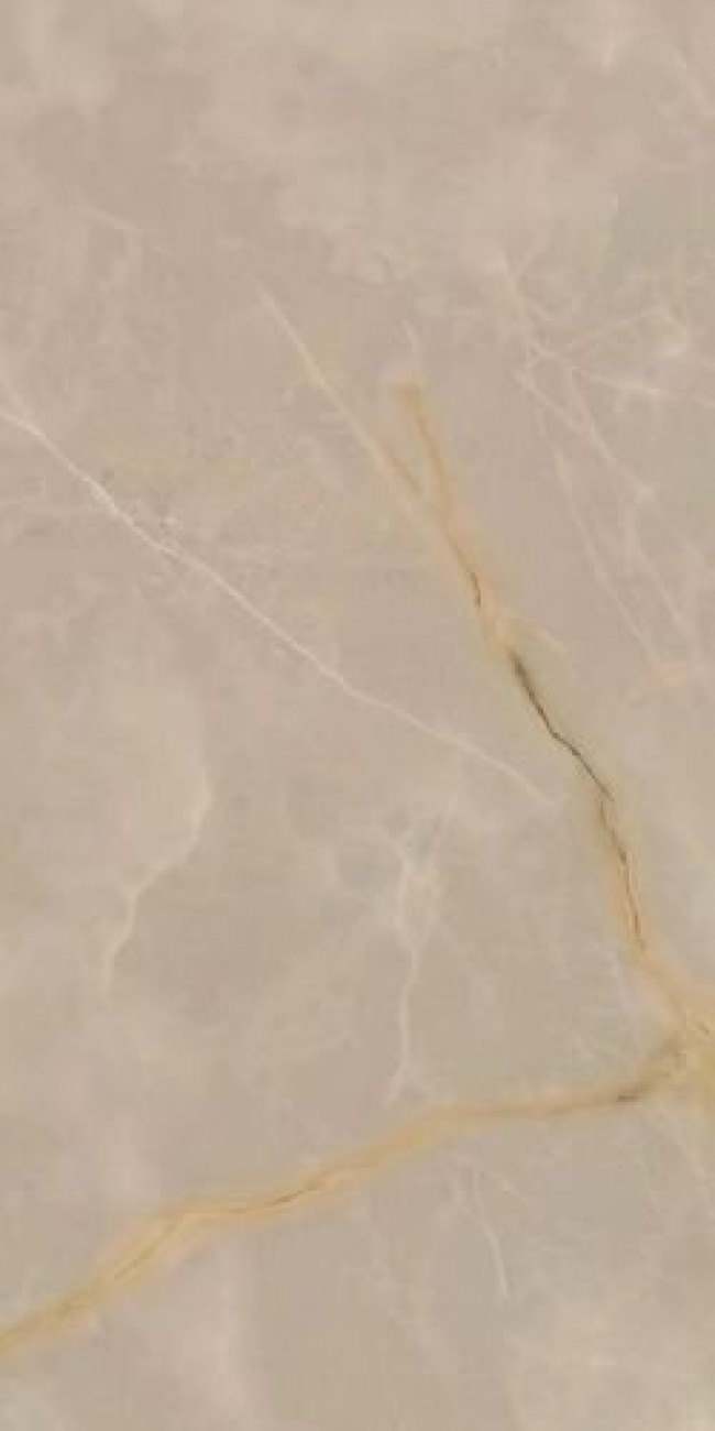 Плитка 120x60 Symphonyx Cashmere Rett Lapp Симфоникс Кашмир Рет Лап 610015000644 глянцевая коричневый мрамор, оникс Атлас Конкорд Плитка 120x60 Symphonyx Cashmere Rett Lapp Симфоникс Кашмир Рет Лап 610015000644 глянцевая коричневый мрамор, оникс Атлас Конкорд