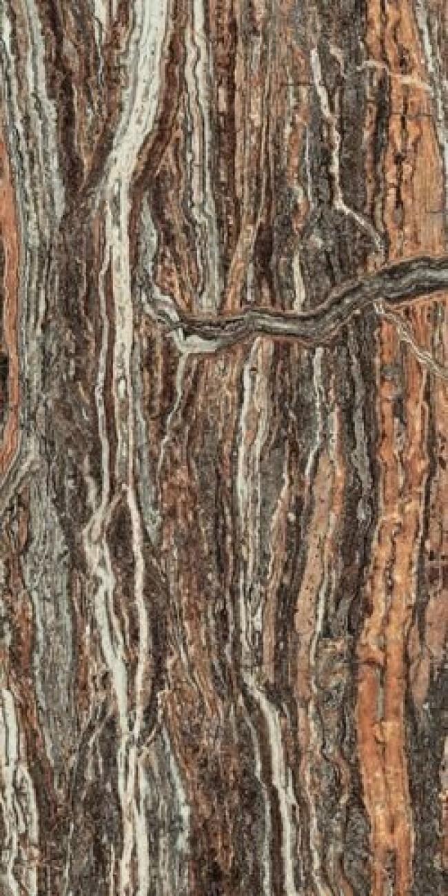 Плитка 120x60 Epos Jurassic Rett Lapp Эпос Джурассик Рет Лапп 610015000597 глянцевая коричневый камень, мрамор, травертин 9мм Атлас Конкорд Плитка 120x60 Epos Jurassic Rett Lapp Эпос Джурассик Рет Лапп 610015000597 глянцевая коричневый камень, мрамор, травертин 9мм Атлас Конкорд